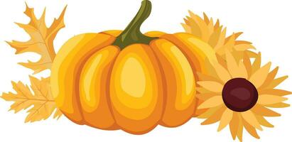 Autumn Pumpkins, sunflowers, leaves, nature botanical decorative collection. vector