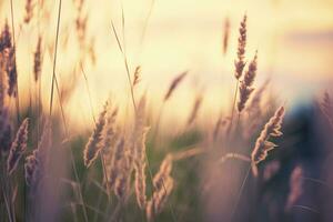 Wild grass in the forest at sunset. Abstract summer nature background. Generative AI photo