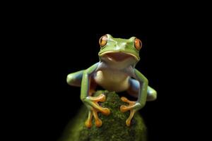 Tree Frog sitting on plant.Generative AI. photo