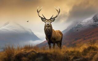 Monarch Of The Glen. AI Generated photo