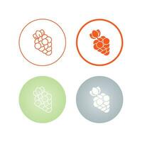 Grapes Vector Icon