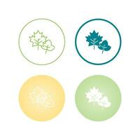 Leaf Vector Icon