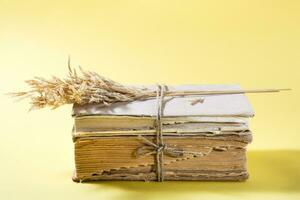 Old books and dry ears of corn tied with rope in yellow and hard light. Wellness, harmony, inclusiveness. Copy space photo