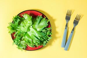 Fresh leaves of frieze lettuce on a plate and forks on a yellow background. Healthy eating and vegetarianism. Hard light. Top view photo