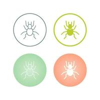 Spider Vector Icon