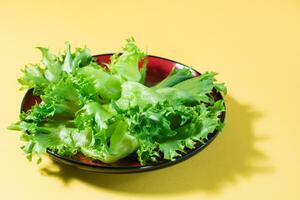 Fresh leaves of frieze lettuce on a plate on a yellow background. Healthy eating and vegetarianism. Hard light. photo