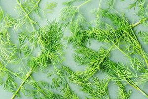 Branches of fresh dill chaotically on a green background. Vitamin Herbs in a healthy diet. Top view photo