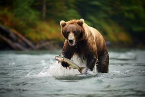 marrón oso persiguiendo un salmón en el río. kamchatka. marrón oso capturas un salmón en el río, ai generado foto