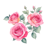 Roses flowers, watercolor painting png