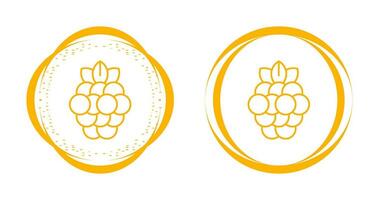 Raspberry Vector Icon