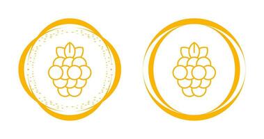 Raspberry Vector Icon