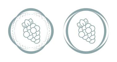 Grapes Vector Icon