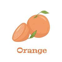 Vector set of colorful slice and whole of juicy orange. Fresh cartoon orange on white background.