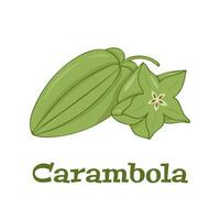 carambola Fresco verde Fruta lleno y rebanado vector imagen en un blanco antecedentes