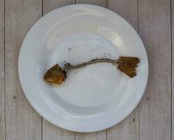 Abstract, complete bone of whole fish on plate. photo