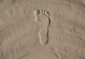 footsteps on beach in sandy photo