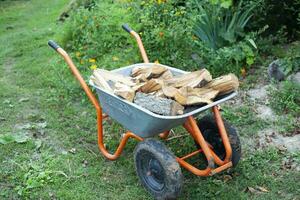 Man working with firewood, unloading wood from wheelbarrow. Preparation for winter. photo