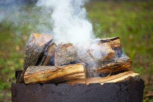 firewood is burning in the barbecue in nature photo