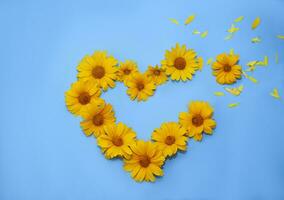 heart made of yellow flowers on a blue background. concepts of patriotism, state flag and independence of Ukraine. photo