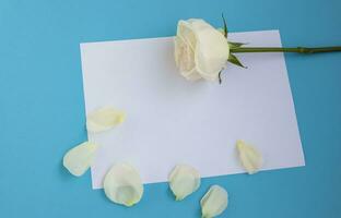 Empty mock-up white paper sheet on color background, decorated fresh roses flowers, floral visual flat top view, free copy space for your text. photo