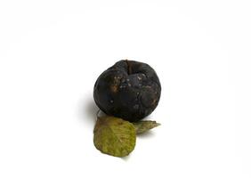 rotten apple is isolated on a white background photo