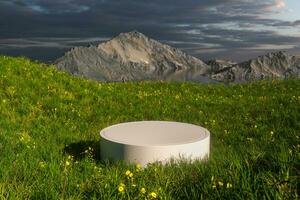 Empty platform in the grass field, 3d rendering. photo