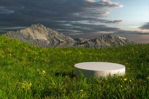 Empty platform in the grass field, 3d rendering. photo