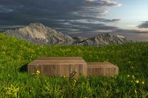 Empty platform in the grass field, 3d rendering. photo