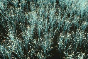 Glowing particles and lines,sparkling particles,3d rendering. photo