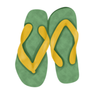 Colorful Flip Flops Illustration png