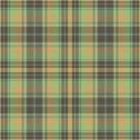 Tartan or plaid winter color pattern. vector