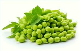 Fresh green chickpeas pod. chickpea is an annual legume of the Fabaceae family. Chickpea seeds are high in protein. Its other names are Bengal gram, garbanzo, garbanzo bean. photo