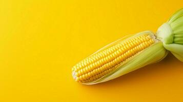 Picture of fresh corn on a yellow background. photo