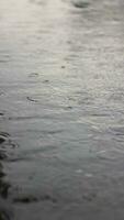 langzaam beweging druppels water achtergrond, regen druppels langzaam beweging video