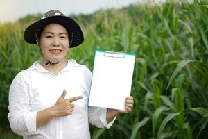 Asian woman farmer wears hat, white shirt, holds and point to blank paper clipboard, stands at maize garden. Concept. Agriculture occupation, survey and research to develop and solve problems of crops photo