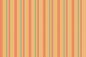 Fabric texture textile of pattern background lines with a vector stripe seamless vertical.