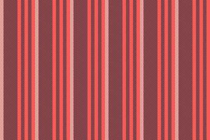 Pattern background fabric of seamless texture vertical with a stripe textile lines vector. vector
