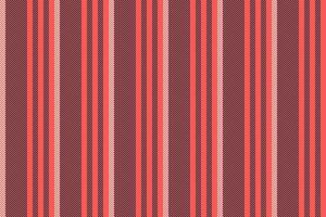 Pattern background fabric of seamless texture vertical with a stripe textile lines vector. vector