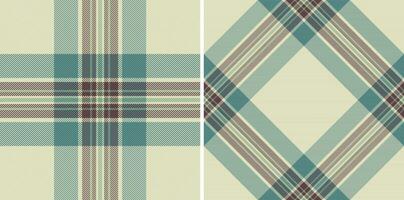 Plaid seamless pattern of background texture fabric with a check textile tartan vector. vector