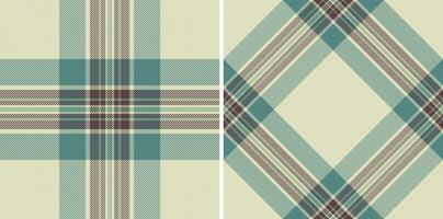 Plaid seamless pattern of background texture fabric with a check textile tartan vector. vector