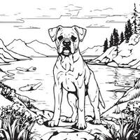 boxer dog coloring page vector