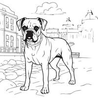 boxer dog coloring page vector