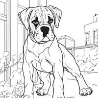 boxer dog coloring page vector