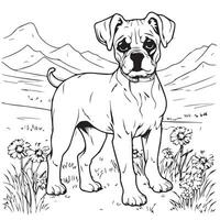 boxer dog coloring page vector