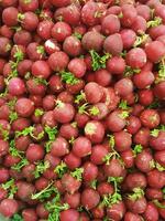 A radish cluster photo