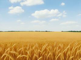 Concept of abundance and harvest, bread and ears of wheat. photo