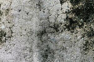 Photo white abstract cement concrete wall texture background