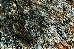 Old grunge dark textured wooden background,the surface of the old brown wood texture photo