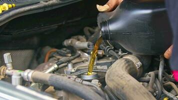 mecánico de servicio de mantenimiento de automóviles que vierte nuevo lubricante de aceite en el motor del automóvil video