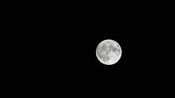 Sombrio e sem nuvens céu super lua às noite cenas video